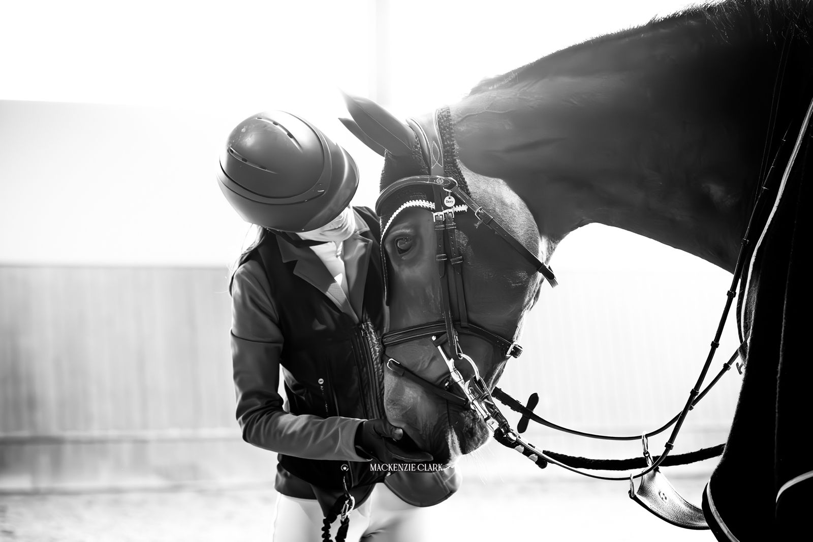 Crown Family Stables horse