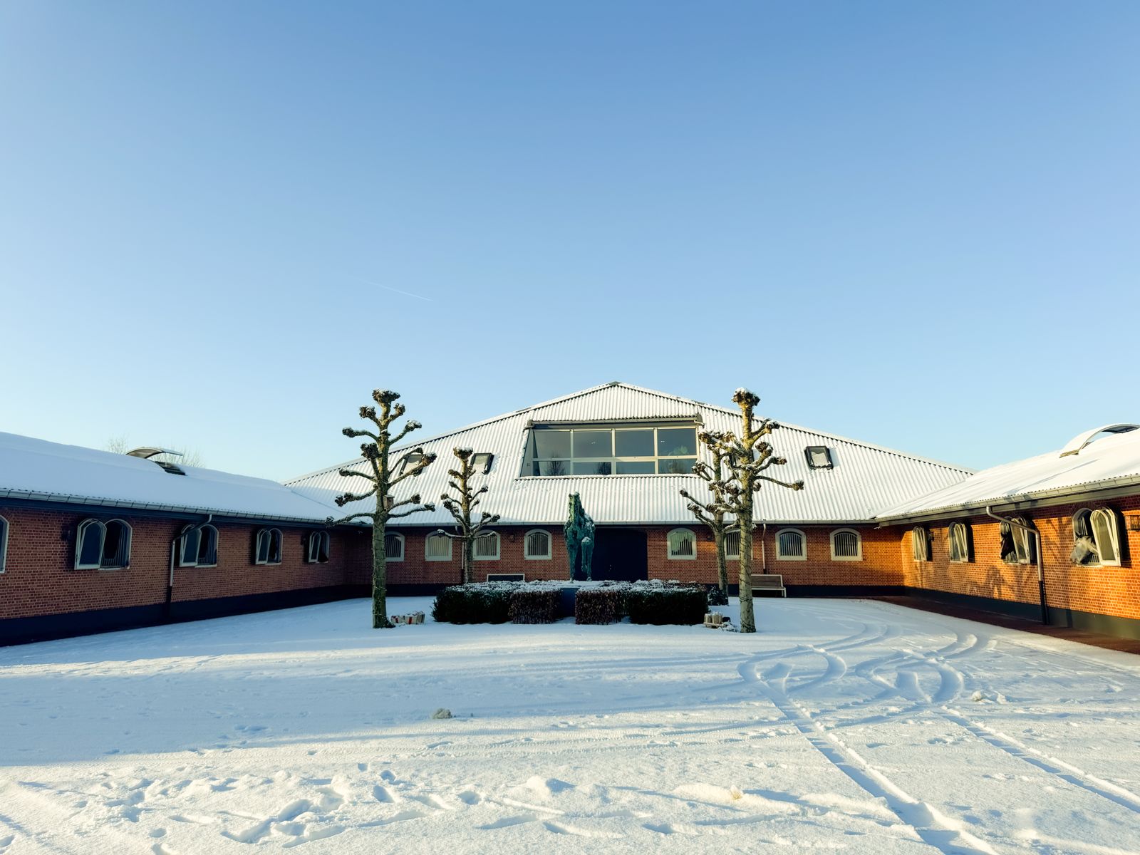Crown Family Stables yard